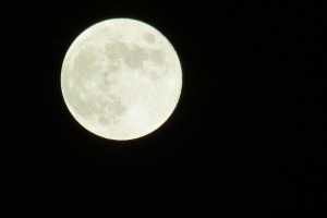 moon-347517_1920